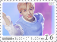 nct-blackonblackwinwin16